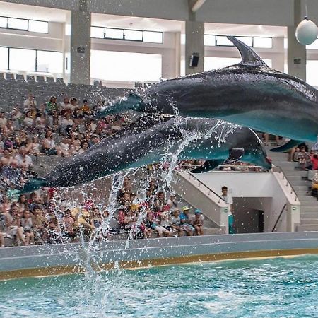 Delfin Apartments Konstanca Zewnętrze zdjęcie