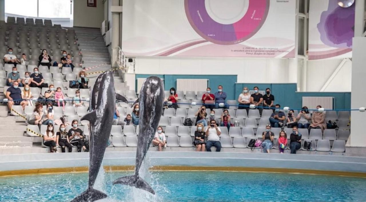 Delfin Apartments Konstanca Zewnętrze zdjęcie